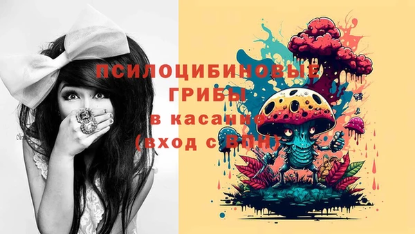 наркотики Бородино