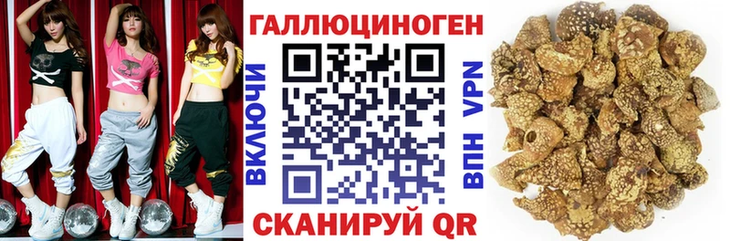 Галлюциногенные грибы Psilocybine cubensis  Нурлат 